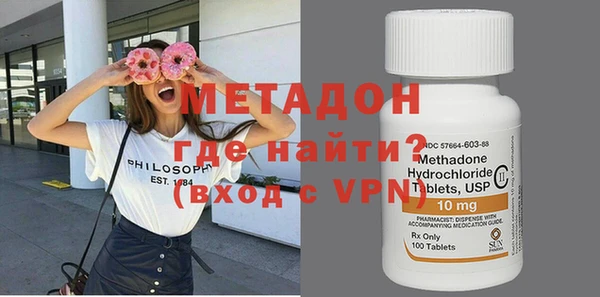 хмурый Аркадак