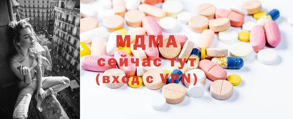 хмурый Аркадак