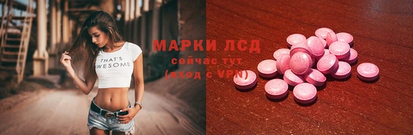 хмурый Аркадак