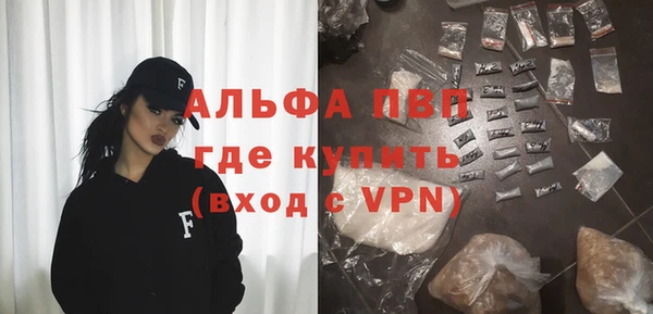 хмурый Аркадак