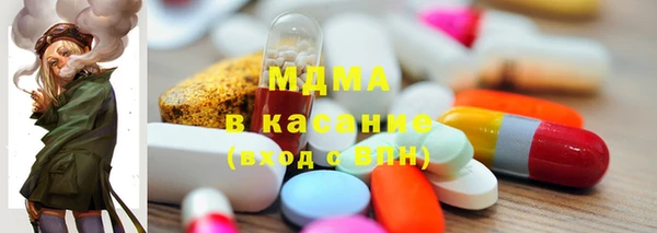 хмурый Аркадак
