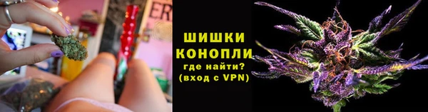трава Арсеньев