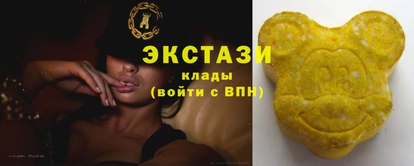 хмурый Аркадак