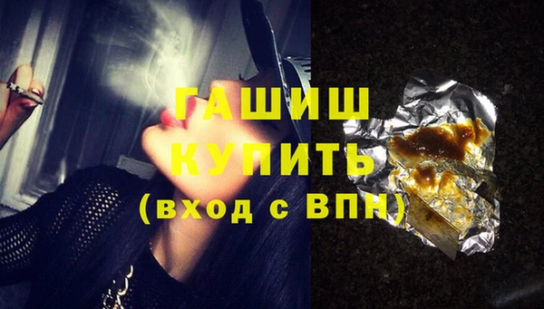 хмурый Аркадак