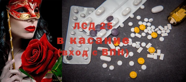 хмурый Аркадак