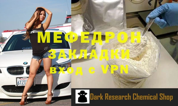 хмурый Аркадак