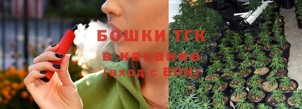 трава Арсеньев