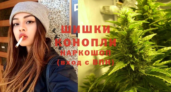 хмурый Аркадак