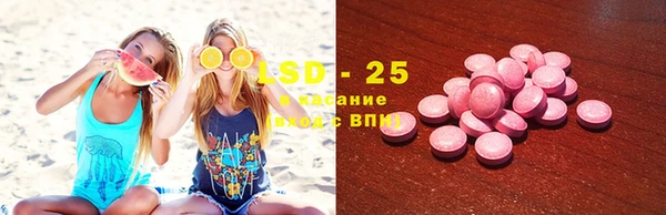 хмурый Аркадак